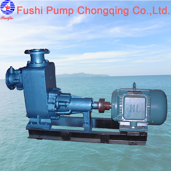 cwz marine horizontal general pump.jpg